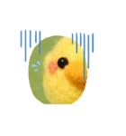 感情ひよこ（個別スタンプ：4）
