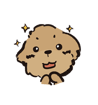 ハルが四歳 (プードル)（個別スタンプ：1）
