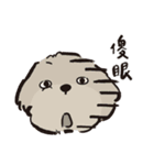 ハルが四歳 (プードル)（個別スタンプ：9）