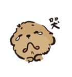 ハルが四歳 (プードル)（個別スタンプ：13）