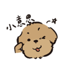 ハルが四歳 (プードル)（個別スタンプ：19）