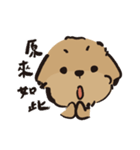 ハルが四歳 (プードル)（個別スタンプ：20）