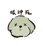 ハルが四歳 (プードル)（個別スタンプ：23）