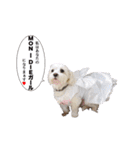 はるちょと一緒♡（個別スタンプ：1）
