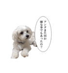 はるちょと一緒♡（個別スタンプ：2）