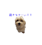 はるちょと一緒♡（個別スタンプ：7）