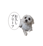 はるちょと一緒♡（個別スタンプ：8）