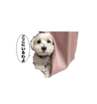 はるちょと一緒♡（個別スタンプ：10）