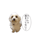 はるちょと一緒♡（個別スタンプ：15）
