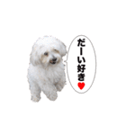 はるちょと一緒♡（個別スタンプ：16）