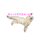 はるちょと一緒♡（個別スタンプ：17）