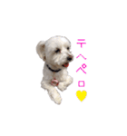 はるちょと一緒♡（個別スタンプ：18）