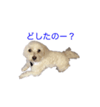はるちょと一緒♡（個別スタンプ：19）
