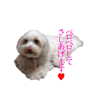 はるちょと一緒♡（個別スタンプ：23）