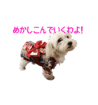 はるちょと一緒♡（個別スタンプ：24）