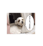はるちょと一緒♡（個別スタンプ：25）