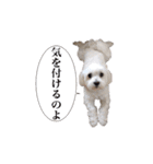 はるちょと一緒♡（個別スタンプ：32）