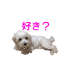 はるちょと一緒♡（個別スタンプ：34）