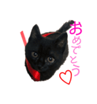 マルセロスタンプ1（個別スタンプ：2）