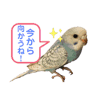 ダイヤとパール（2）（個別スタンプ：9）