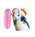 ダイヤとパール（2）（個別スタンプ：10）