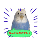 ダイヤとパール（2）（個別スタンプ：12）