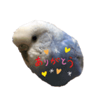 ダイヤとパール（2）（個別スタンプ：13）