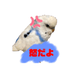 ダイヤとパール（2）（個別スタンプ：15）