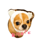 かん太の一言（個別スタンプ：1）