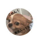 かん太の一言（個別スタンプ：3）