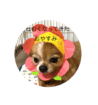 かん太の一言（個別スタンプ：5）