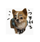 かん太の一言（個別スタンプ：6）