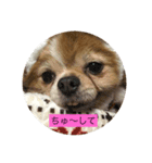 かん太の一言（個別スタンプ：7）