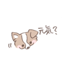 ボーダーコリーの文字入りゆるスタンプ（個別スタンプ：3）
