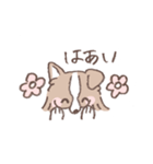 ボーダーコリーの文字入りゆるスタンプ（個別スタンプ：4）