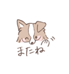 ボーダーコリーの文字入りゆるスタンプ（個別スタンプ：10）