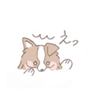ボーダーコリーの文字入りゆるスタンプ（個別スタンプ：12）
