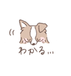 ボーダーコリーの文字入りゆるスタンプ（個別スタンプ：15）