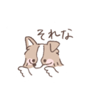 ボーダーコリーの文字入りゆるスタンプ（個別スタンプ：16）