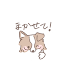 ボーダーコリーの文字入りゆるスタンプ（個別スタンプ：17）