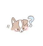 ボーダーコリーの文字入りゆるスタンプ（個別スタンプ：29）