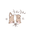 ボーダーコリーの文字入りゆるスタンプ（個別スタンプ：34）