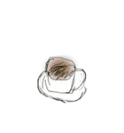 mofumou（個別スタンプ：16）