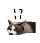 ミルクちゃん。①（個別スタンプ：23）