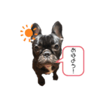 オビスタンプ（個別スタンプ：15）