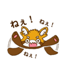 レッサーパンダの日常スタンプ（個別スタンプ：5）