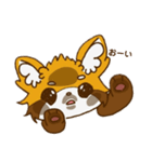 レッサーパンダの日常スタンプ（個別スタンプ：39）