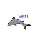 If marine life can talk to divers (Eng)（個別スタンプ：11）
