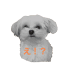 takuma'sすたんぷ（個別スタンプ：8）