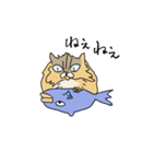 猫のHanaちゃん（個別スタンプ：3）
